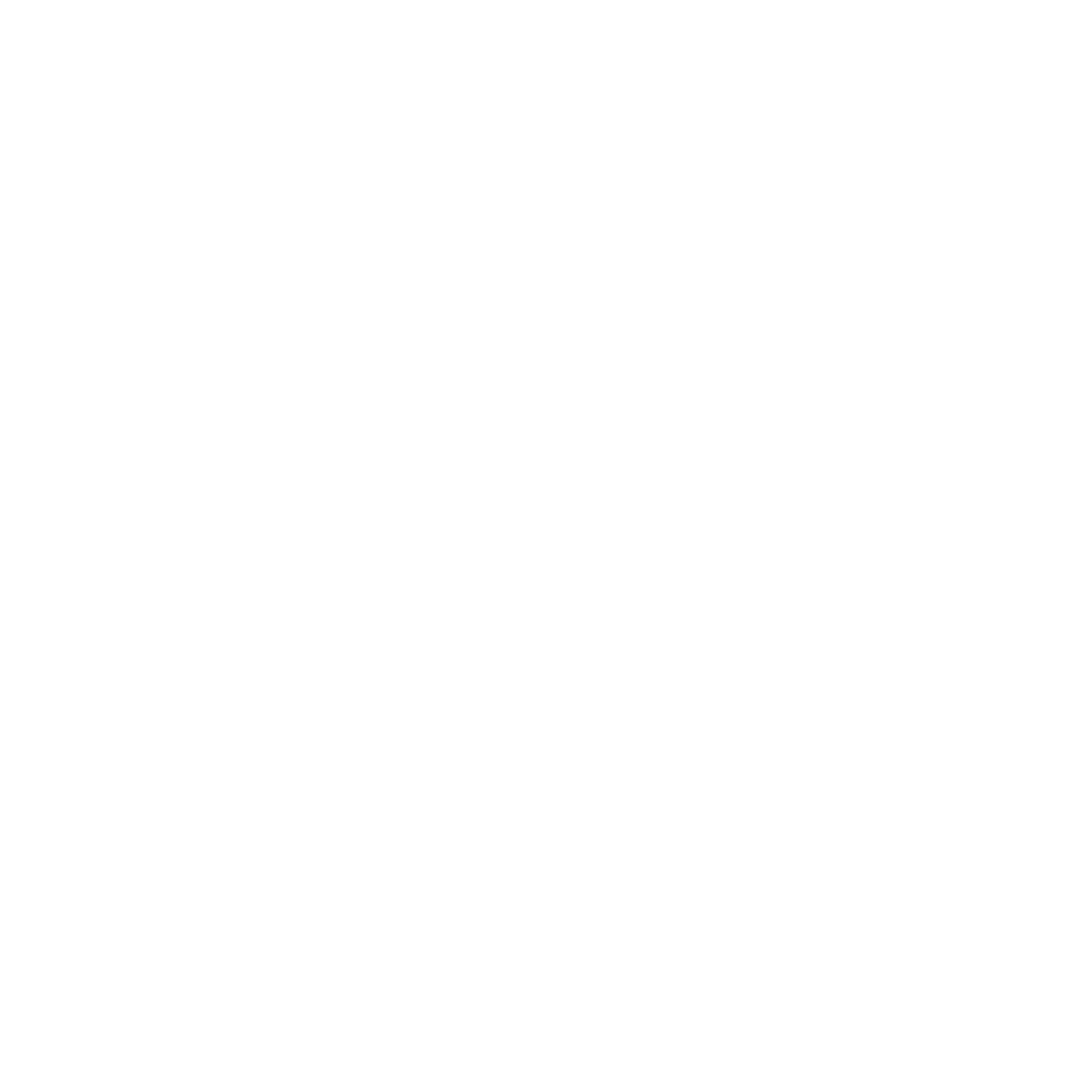 Gadgio